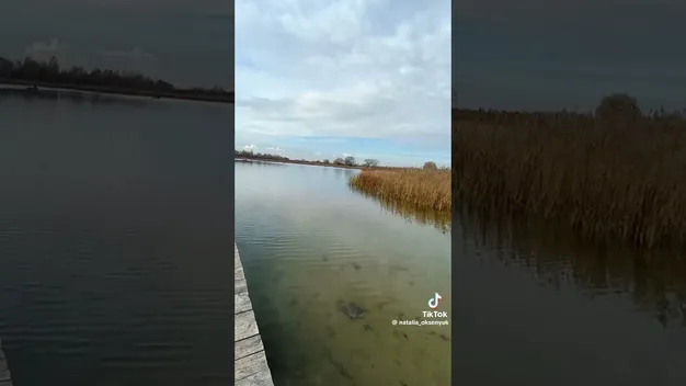 На Волині є загадкова водойма у формі людського вуха (відео)