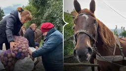 Підводою по селу збирають картоплю: як Колківська громада підтримує лікарню (фото)