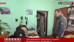 Хотіли вирубати понад 300 здорових сосен: на Волині судитимуть лісівників-шахраїв (відео)