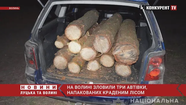 На Волині зловили молодиків, які «напакували» свої легковики сосновими колодами (фото, відео)