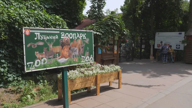 У Луцькому зоопарку поселили голубів, яких евакуювали з-під Бахмута (відео)