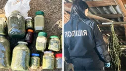 Ховали банки з «травою» в ямах: на Поліссі викрили мільйонний наркобізнес (фото)
