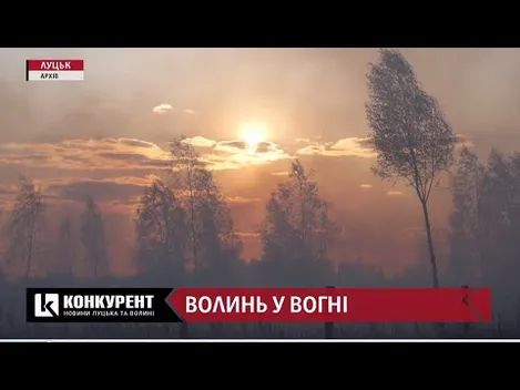 Навмисні підпали на Волині: розповіді очевидців, коментарі пожежників, згорілі тварини (відео)