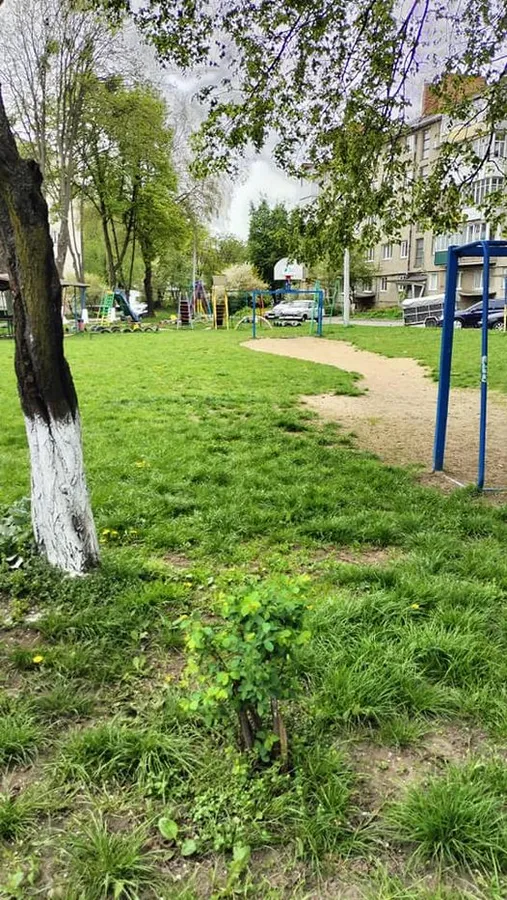 У Луцьку шукали гламурну власницю «золотої» соски (фото)