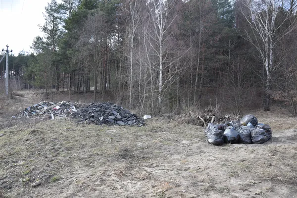 «Лісова» братія проти сміттєвого монстра, або А один в полі – воїн?