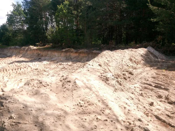 Самовільно добували пісок та різали дерева: на Волині виявили екопорушників (фото, відео)