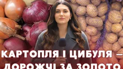Ціна на часник б’є рекорди: що відбувається на ринку у Луцьку (відео)