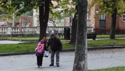 У Нововолинську містяни збирають каштани, які можна здати на переробку (фото)