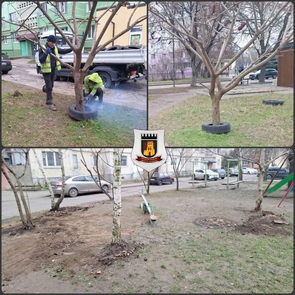 У Луцьку з дворів забирають автомобільні шини (фото)
