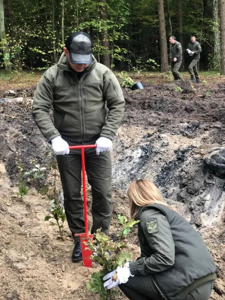 Мільйон дерев за добу: по всій Волині лісівники й волонтери долучилися до акції (фото)