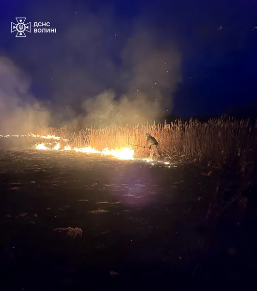 Вогняна доба на Волині: вогонь випалив 19 гектарів землі (фото, відео)