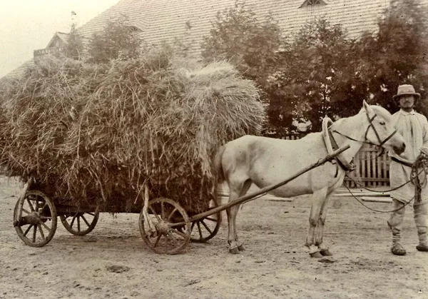 Одяг, головні убори, взуття: який вигляд мали жителі Волинського та Рівненського Полісся 100 років тому (фото)