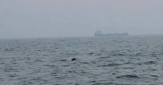 У Румунії поблизу курорту вибухнула морська міна
