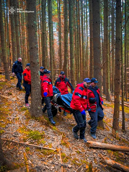 Гриби ціною життя: у лісі на Прикарпатті знайшли тіло грибника з Львівщини