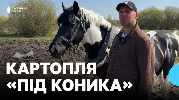 70 мішків «під коня»: як на Волині всією родиною висаджують гектари картоплі (фото, відео)