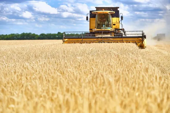 Українські аграрії з початку повномасштабної війни експортували продукції на $20 млрд