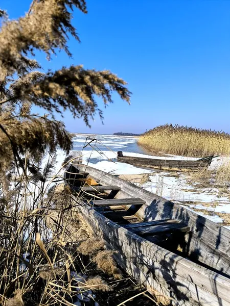 Трава на берегах і крига на воді: на Світязі зима зустрічає весну (фото)