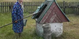 Сама рубає дрова у 86 років: як жителька поліського села дає собі раду у дерев'яній хаті (фото)