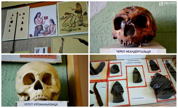 Де в Луцьку подивитися на скарби, зуби мамонта та череп неандертальця (фото)