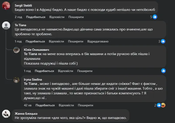 «Руйнівні» розваги: у Луцьку дівчата так грали в сніжки, що пошкодили авто (відео)