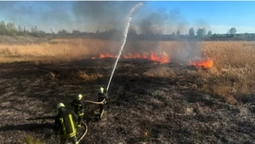 Горіли чагарники та очерет: на Волині загасили 10 пожеж (фото)
