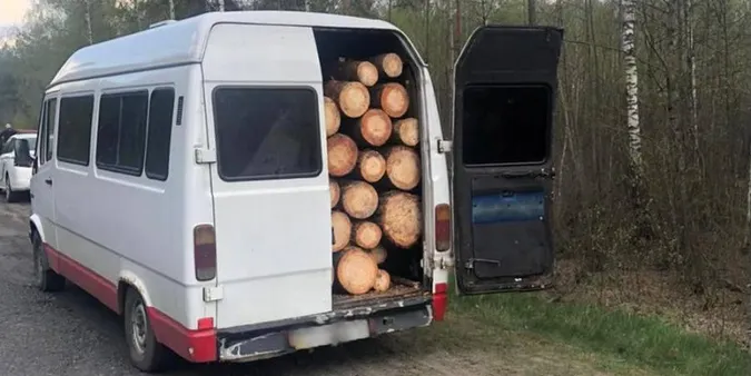 Напакували бус «під зав'язку»: на Волині зловили крадіїв лісу (фото, відео)