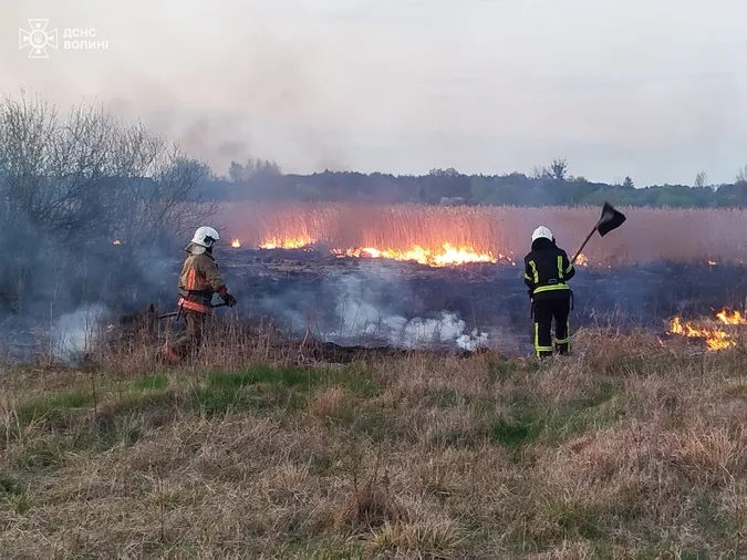 Підпал, замикання, необережність: на Волині загасили шість пожеж (фото)