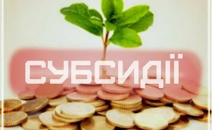 Студентам із гуртожитків СНУ можна оформити субсидію (пояснення)