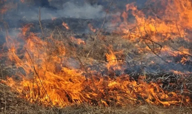 На Волині рятувальники спіймали на гарячому палія сухостою (фото)