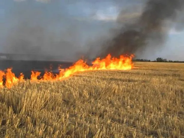 На Волині бабуся спалювала траву, а загинула сама