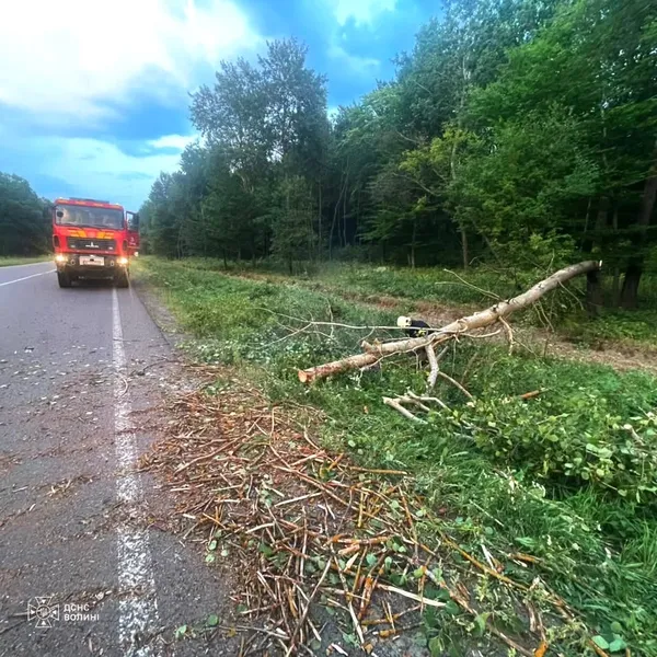 На Волині буревій наробив лиха: повалені дерева паралізували рух транспорту (фото)