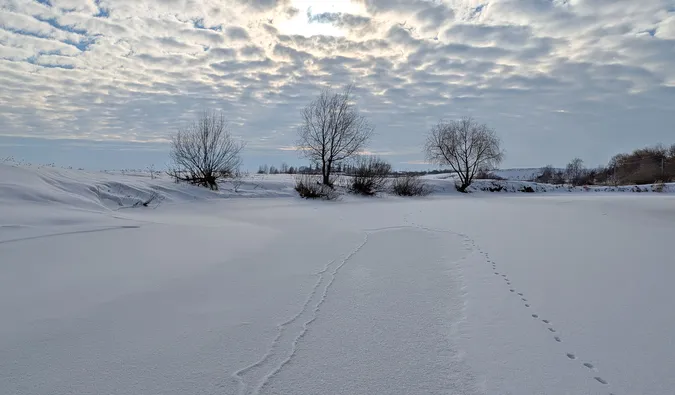 Зимова казка на Стиру під Луцьком: показали неймовірні фото