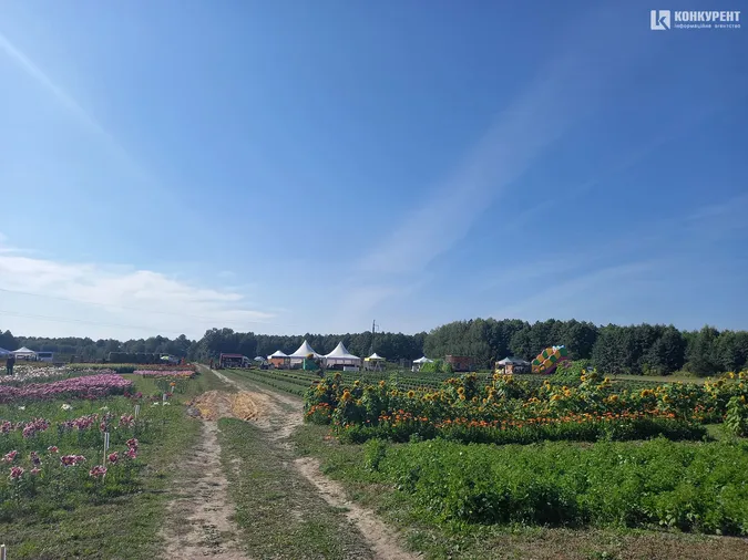 Розпочався фестиваль квітів «Осінь у Волинській Голландії» (фото)