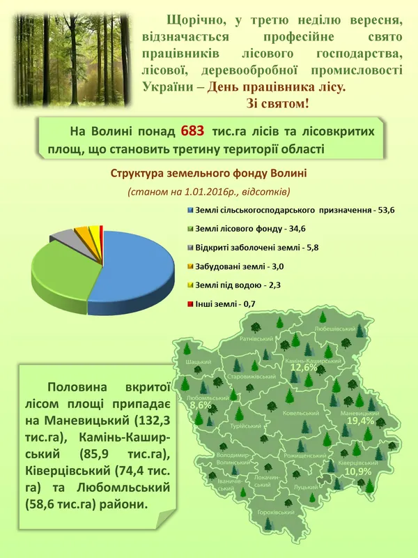Підрахували, скільки на Волині лісів (інфографіка)