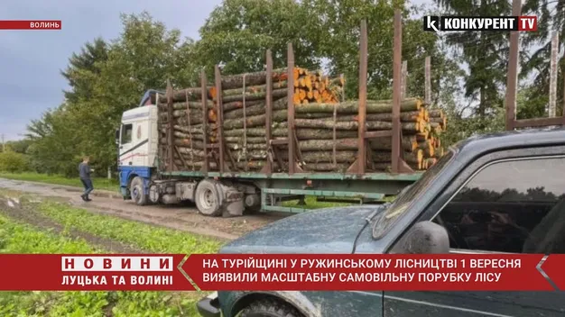 У лісі на Турійщині виявили масштабну незаконну порубку (фото, відео)
