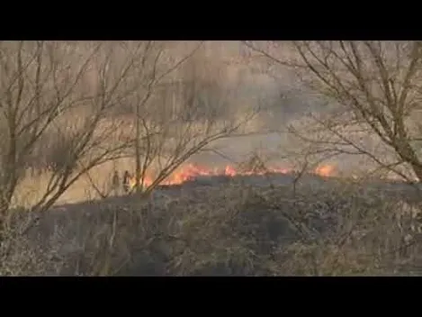 У Луцьку горить поле поруч з оглядовим майданчиком (ВІДЕО)