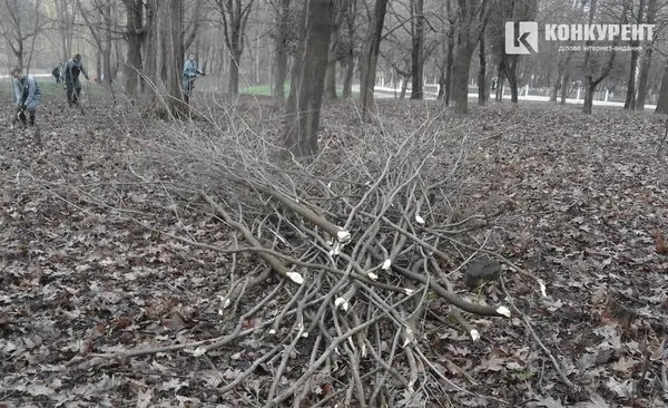 Представники топ-підприємств Волині почали прибирати луцький парк