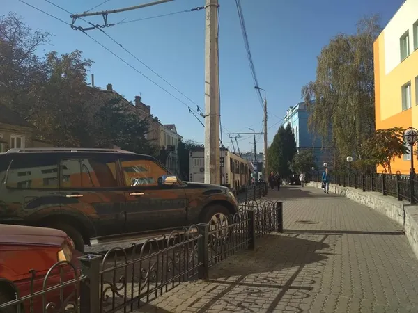 У центрі Луцька зупинилися тролейбуси (фото, відео)
