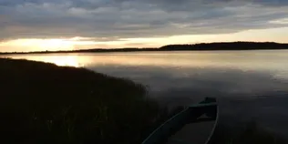 Магія вечора: озеро на Волині потопає у золотих барвах заходу сонця (фото)