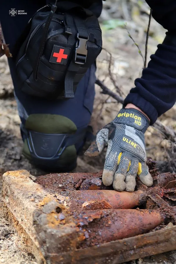 У лісі на Волині знайшли схрон боєприпасів німецької армії часів Другої світової війни (фото)