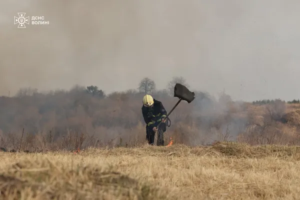 На Волині горіло 1,5 гектара сухостою: палійку затримали (фото)