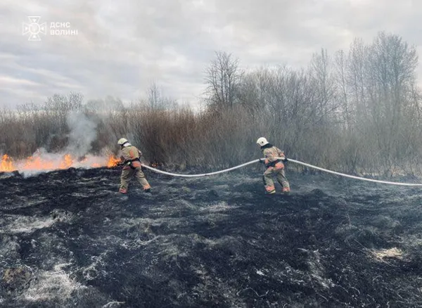Волинь палає: 8 пожеж за день через недбалість (фото)