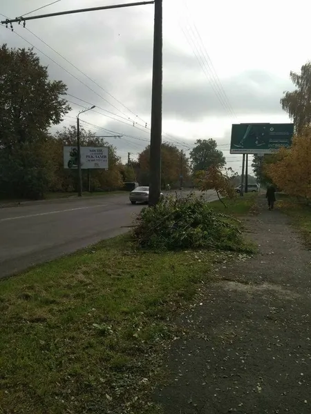 Лучан каратимуть за гілля та будівельні відходи у сміттєвих контейнерах (фото)