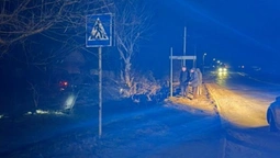 На Волині п’яний водій злетів у кювет і врізався в дерево: травмувалась жінка (фото)