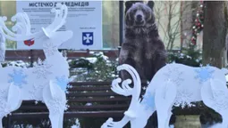 У Луцькому зоопарку з'явилася новорічна фотозона з казковими оленями