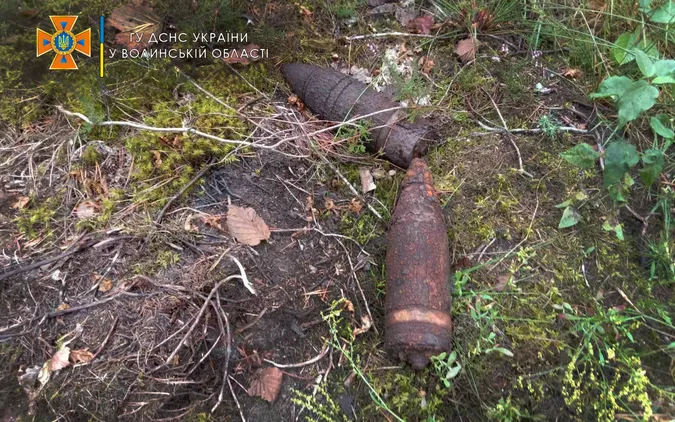 На Волині грибник знайшов у лісі снаряди (фото)
