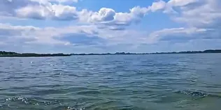 На Поліссі знайшли озеро-близнюка з кришталевою водою та піщаним дном (відео)