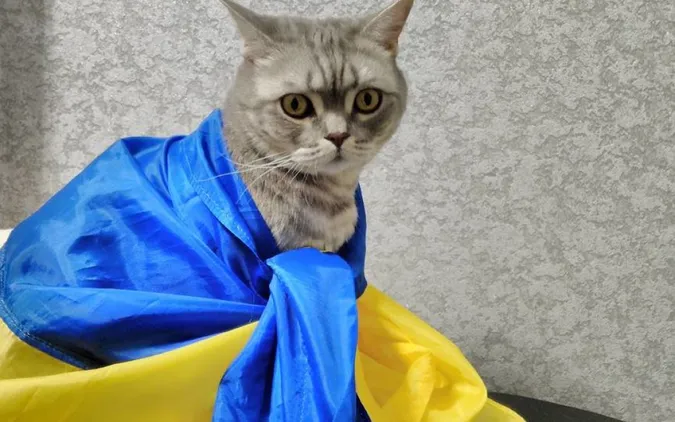 Головне у Луцьку: ТОП новин за суботу, 15 липня