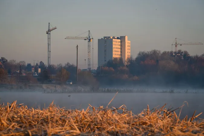 Серпанковий світанок: показали ранкову красу Гнідавського болота (фото)