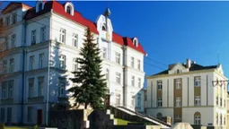 Який вигляд мала Луцька міська рада майже століття тому (фото)